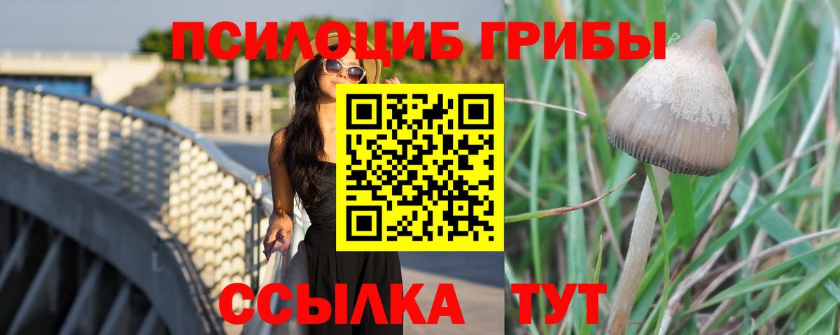 Псилоцибиновые грибы Magic Shrooms  как найти закладки  Урус-Мартан  Вход с VPN 